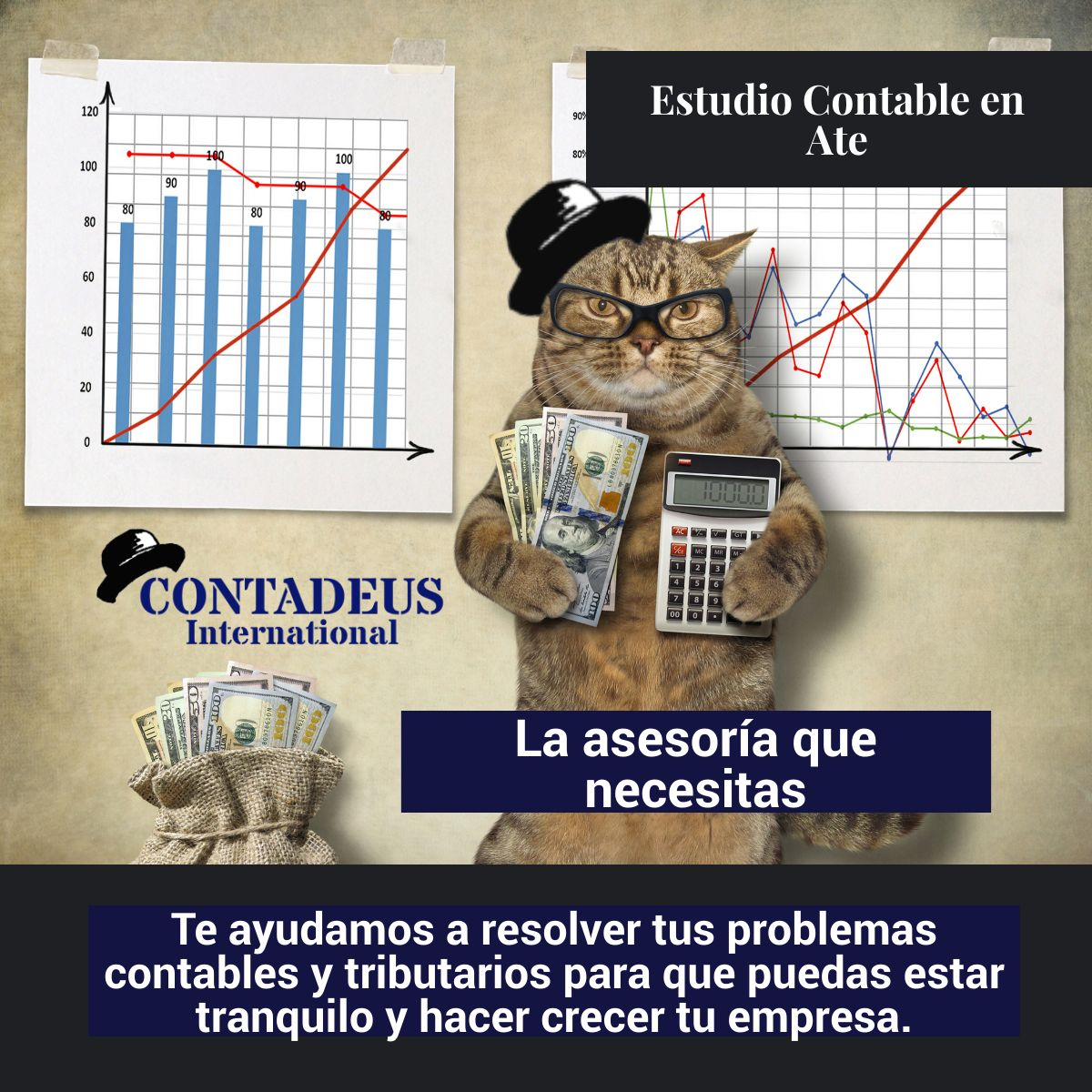 Servicio de Contabilidad en Lima Contadeus International SAC